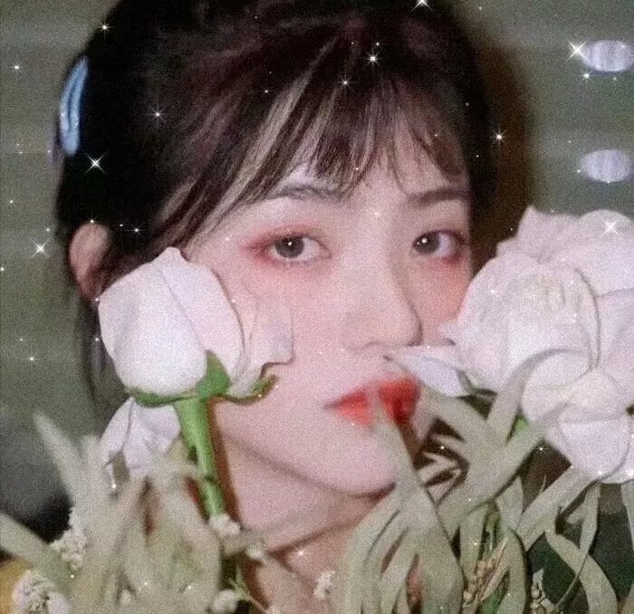 焕羽