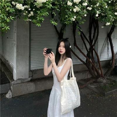 会长是女仆 特别篇